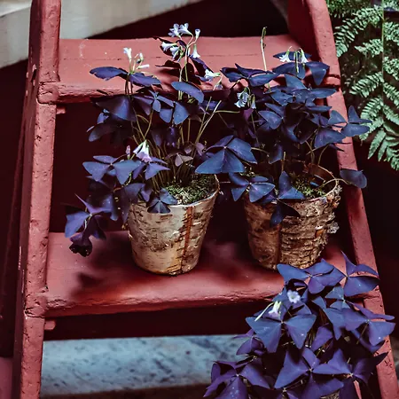 Maison Saintonge Hotel