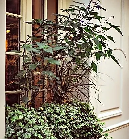 Hotel Maison Saintonge