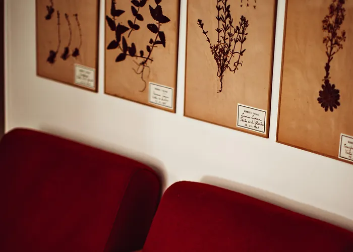 Hotel Maison Saintonge 4*