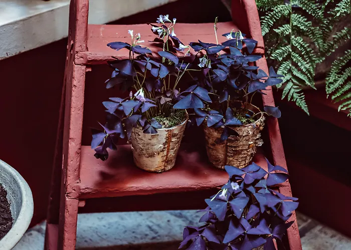 Maison Saintonge Hotel